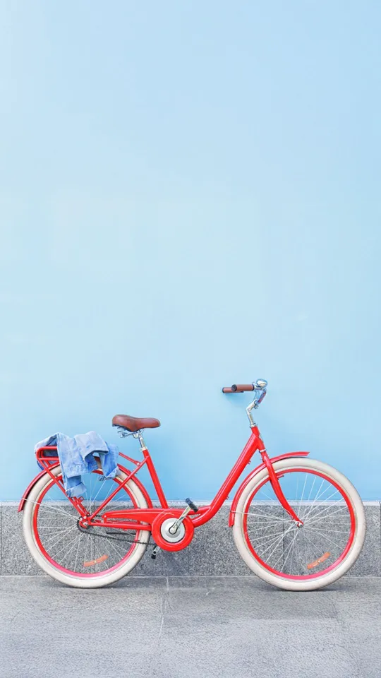 Bicicletta